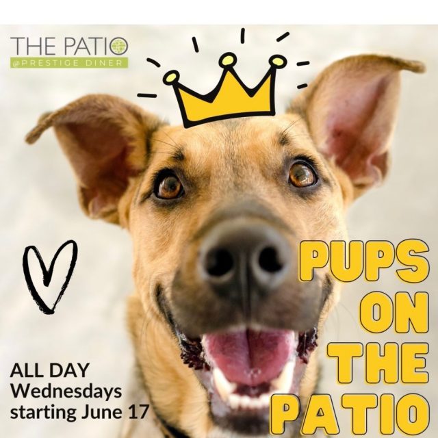 🐾 PUPS ON THE PATIO IS BACK! 🐾
The patio just got a little cuter! ☀️🐶
Starting Wednesday, June 17, bring your four-legged best friend and enjoy outdoor dining together at Prestige Diner. Whether they're here for the attention, the fresh air, or just hoping you drop a French fry, all pups are welcome on our patio!
🐾 Dog-friendly patio seating
❤️ Plenty of smiles, belly rubs, and tail wags
Grab a leash, bring your appetite, and make Wednesdays your new favorite day of the week.
📍 Prestige Diner – New Providence
🐶 Every Wednesday • All Day
#PupsOnThePatio #PrestigeDiner #DogFriendlyDining #NewProvidenceNJ #NJDogLovers #PatioSeason #DineWithYourDog #BestDinerNJ #OutdoorDining 🐾☀️🍔