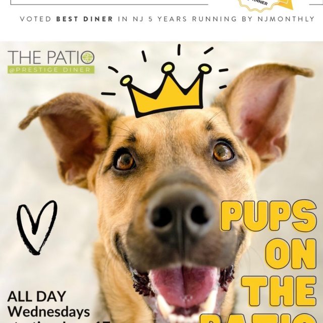 To our puppy customers: if you had enough of sharing your house, in the dark, with your humans, just bring them out for diner at the patio and show them some love.